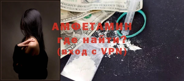 сатива Болотное