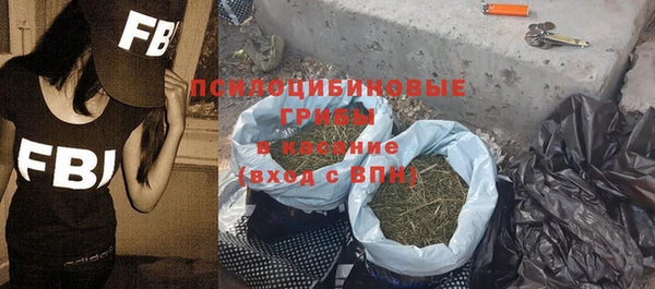 трава Нязепетровск