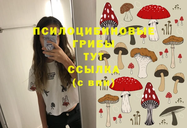 марки nbome Няндома