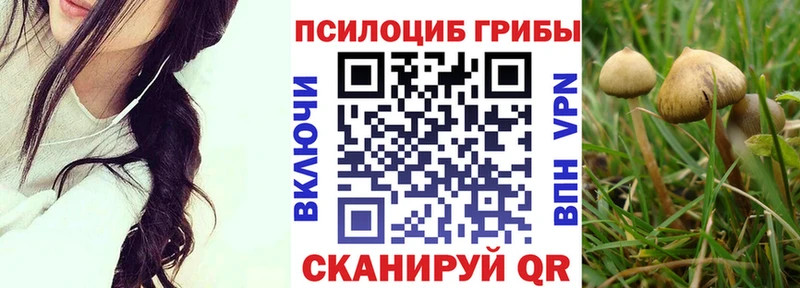 Купить где  Калачинск  Галлюциногенные грибы Cubensis 